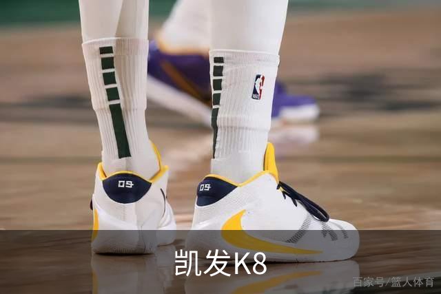 凯发K8公司介绍图